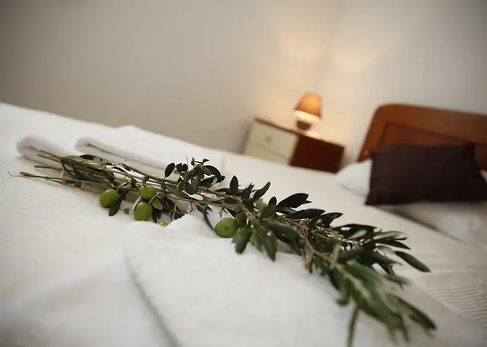 Apartment Alica Srima